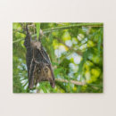 Recherche de griffes puzzles Animal