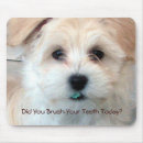 Recherche de humour dentiste tapis souris Hygiène