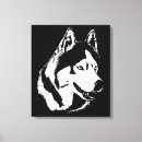 Recherche de siberian husky art Malamute
