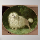 Recherche de chien de caniche posters Canicules