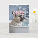 Zoek naar frenchie kaarten Hond