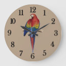 Recherche de parrots horloges Macaw