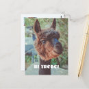 Recherche de sourires photographie Pour enfants