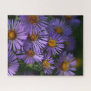Zoek naar asters puzzels Tuin