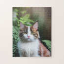 Zoek naar ragdoll puzzels Kat