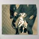 Recherche de duotone posters Photographie