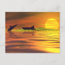 Zoek naar jachten briefkaarten Zonsondergang