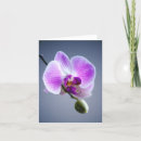 Recherche de tropical toutes vœux cartes Toutes les occasions