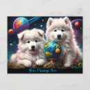 Zoek naar samoyed briefkaarten Schattig