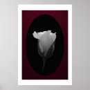 Recherche de bourgeon de rose blanc Floral