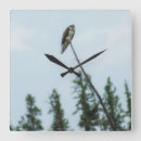 Recherche de pêcheurs horloges Nature