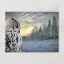 Recherche de hibou gris posters Brun