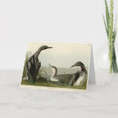 Recherche de throated vœux cartes Oiseau