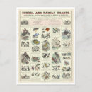 Recherche de zoologique cartes postales Zoologie