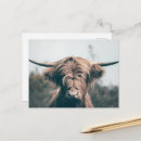 Recherche de cornus cartes postales Animal