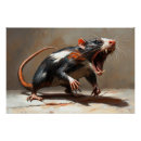 Zoek naar ratten posters Knaagdier