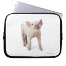 Zoek naar varken laptop sleeves Dier