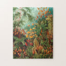 Recherche de der puzzles Kunstformen der natur