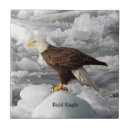 Recherche de tête animale carreaux Nature