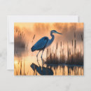 Zoek naar reiger briefkaarten Vogel