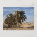 Recherche de nord africain cartes postales Paysage