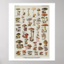 Recherche de copies vintages de posters Cuisine