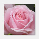 Recherche de photographie mariage souvenirs Rose