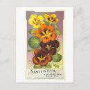 Recherche de nasturtiums cartes postales Vintage