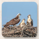 Zoek naar vuur onderzetters Vogel