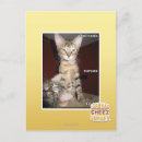 Zoek naar idioot briefkaarten Ik kan cheezburger hebben