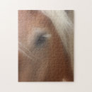 Recherche de oeil puzzles Animal