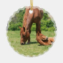 Recherche de colts Poulain