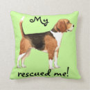 Recherche de chien beagle coussins Hound
