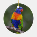Zoek naar parrot ornamenten Parkiet