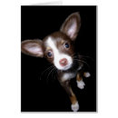 Zoek naar edel briefkaarten Puppy