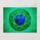 Recherche de membrane posters Grossissement