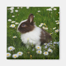 Recherche de de marguerite mariage magnets Marguerites