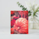 Zoek naar herfst briefkaarten Thanksgiving