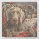 Recherche de weimaraner dessous de verres Chien