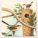 Recherche de oiseaux dessous de verres Nature