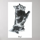 Recherche de schipperke posters Portrait