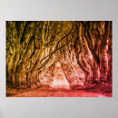 Recherche de haie posters Arbres