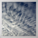 Recherche de tresses posters Blanc