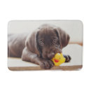 Zoek naar chocolade badmatten Hond