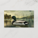 Recherche de carte postale vintage cartes visite Canard colvert