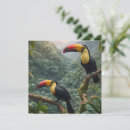 Zoek naar twee vogels uitnodigingen Schattig