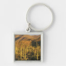 Zoek naar saguaro cactus sleutelhangers Tucson