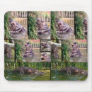 Recherche de escalade photographie Animal