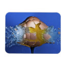 Zoek naar kogels magneten Munitie