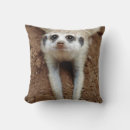 Recherche de suricate coussins Animal